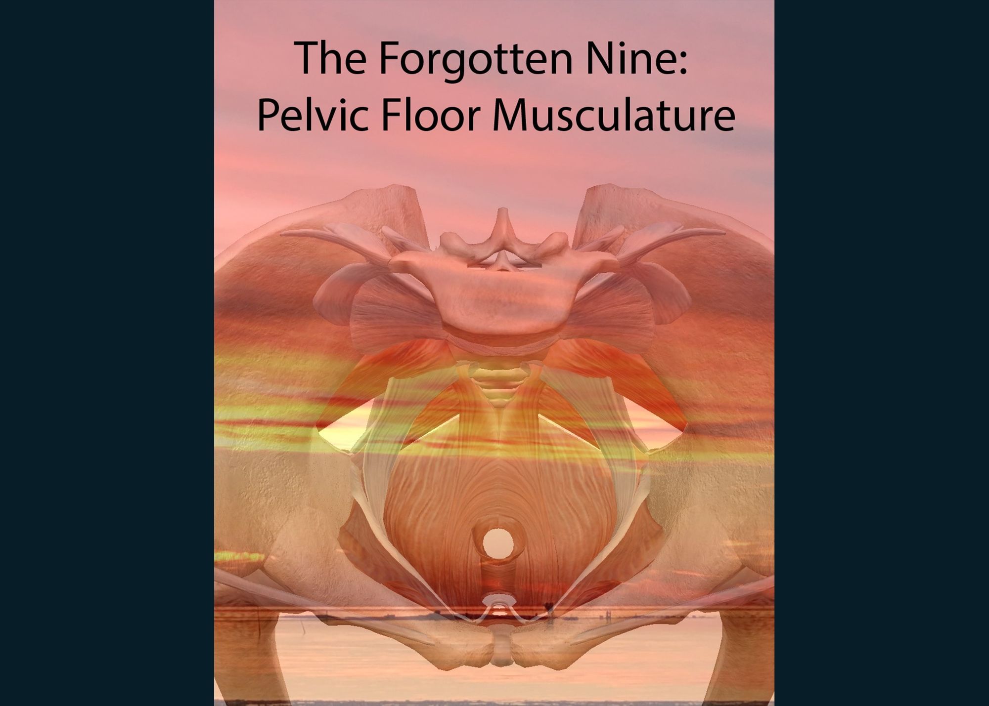 Pelvic Floor Dry Needling And The Forgotten Nine